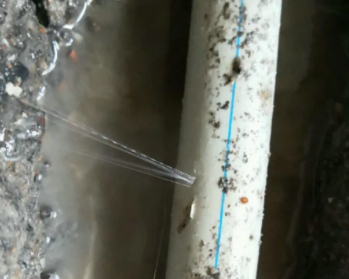 白沟卫生间测漏水多少钱