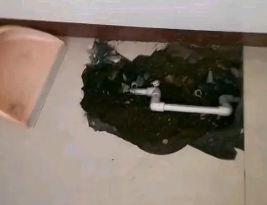 白沟卫生间测漏水多少钱